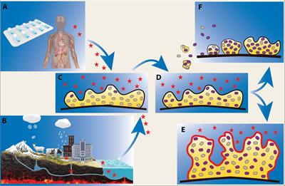 Secondary Effects of Antibiotics on Microbial Biofilms